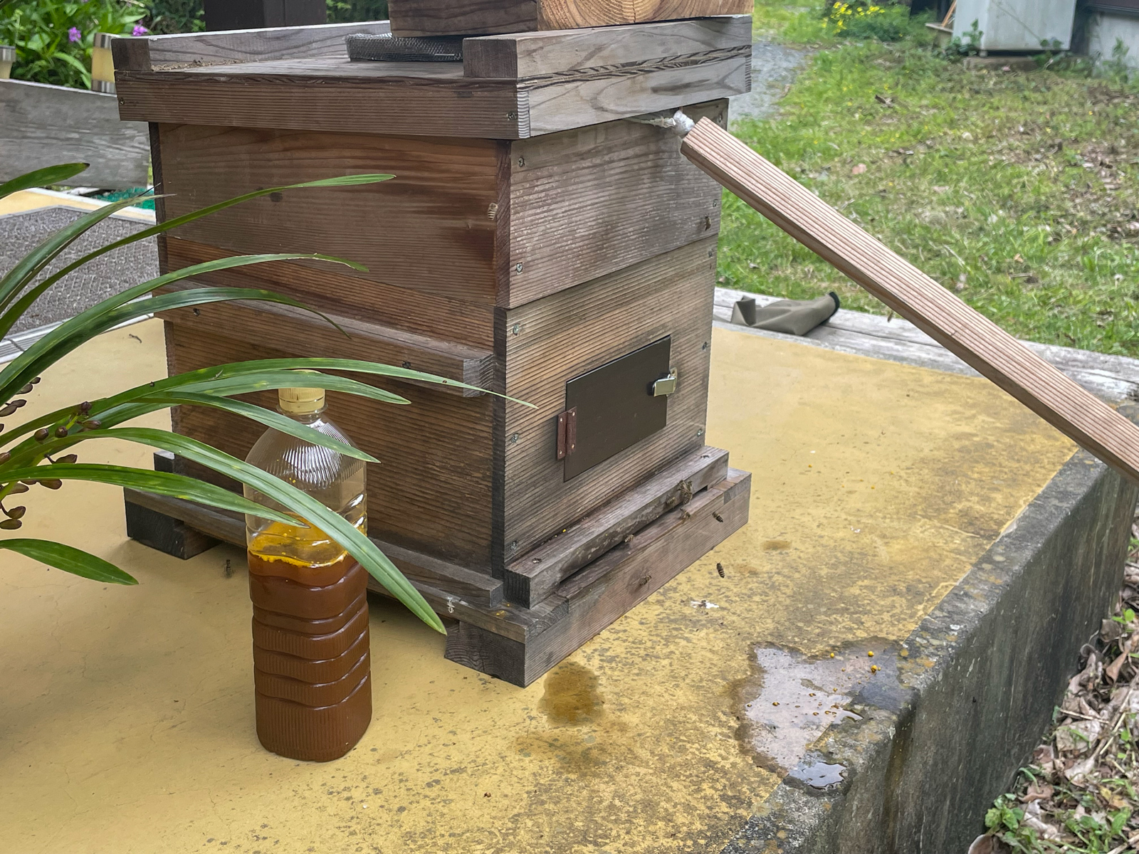 日本ミツバチの巣箱