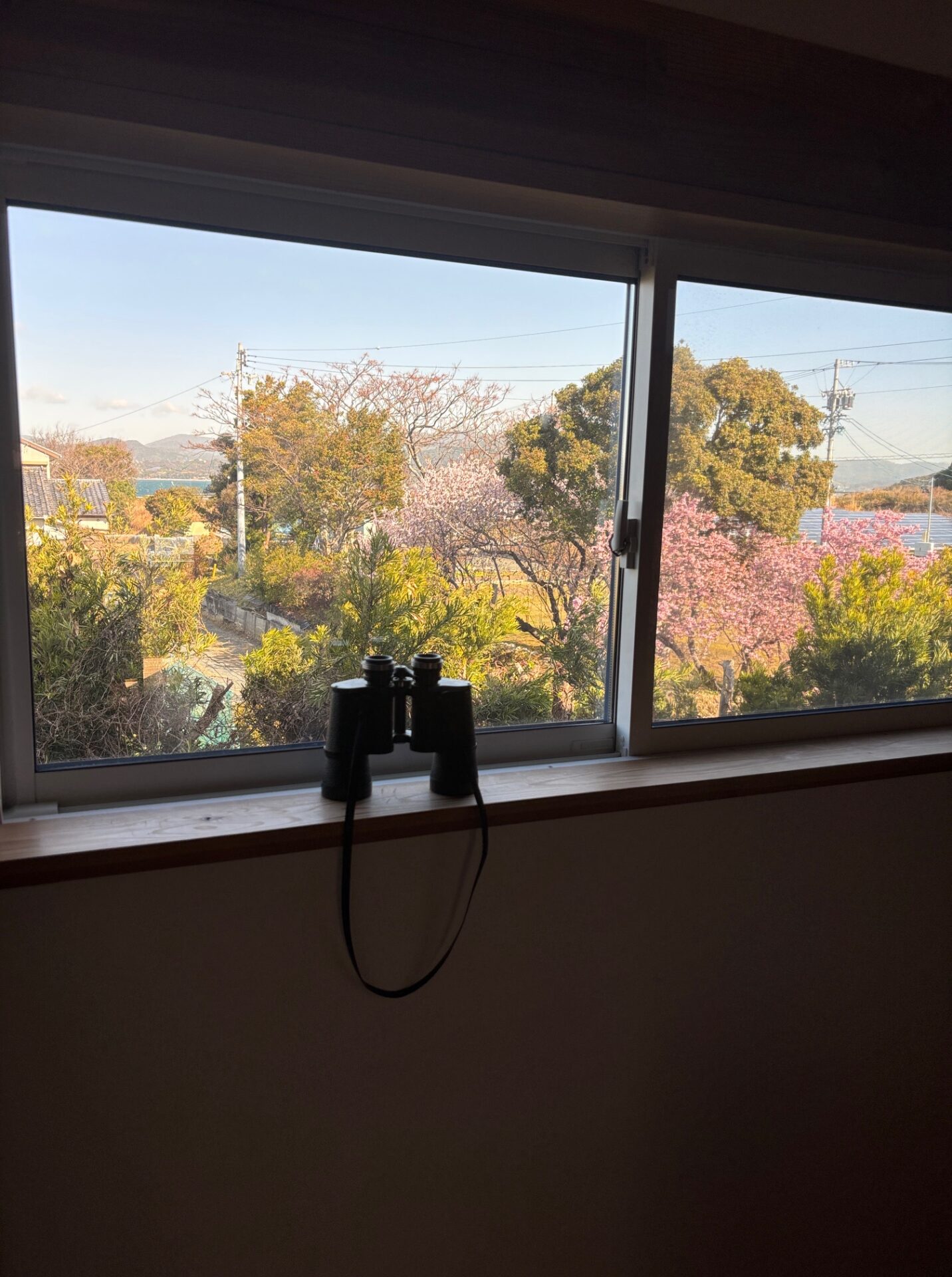 木と土壁の家 浜松・豊橋