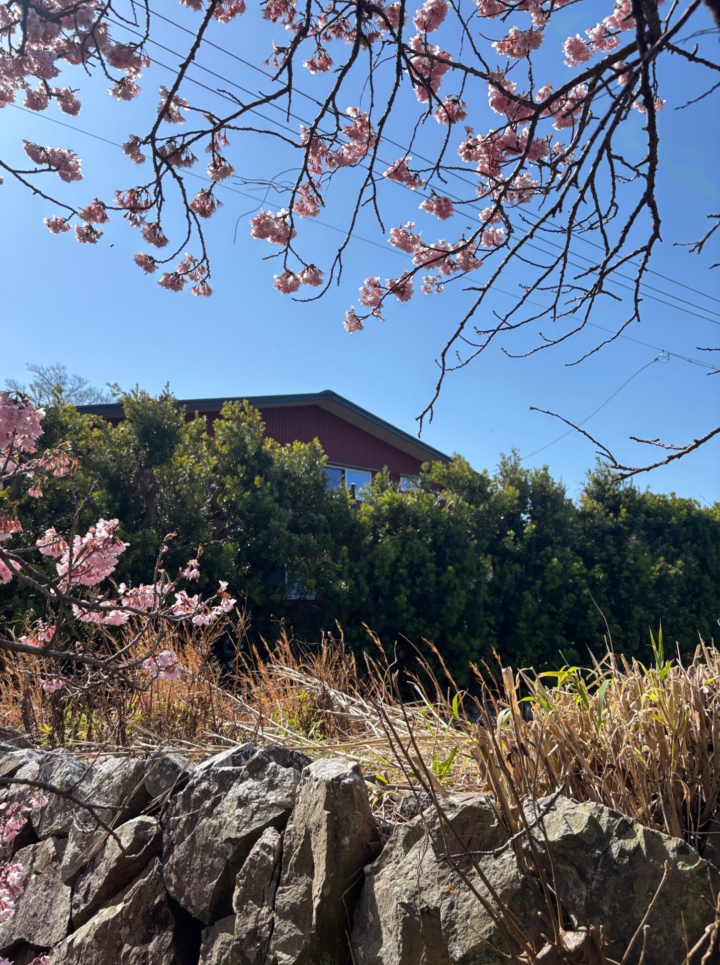 木と土壁の家 浜松・豊橋